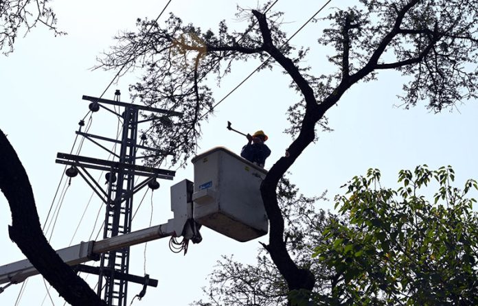 A CDA staffer cutting tree branches while standing on a crane in the Federal Capital A CDA staffer cutting tree branches while standing on a crane in the Federal Capital