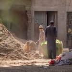 Labourers busy filling bags with chaff (husk from wheat) for selling at their workplace