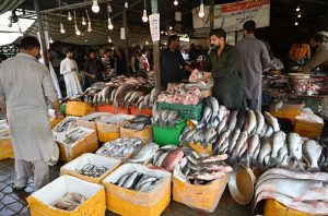 People Purchasing fresh sea food from vendor at G-9 weekly bazaar in the Federal Capital.