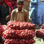 A labourer transporting sacks filled with onions on a wheelbarrow at the vegetable market in the Federal Capital