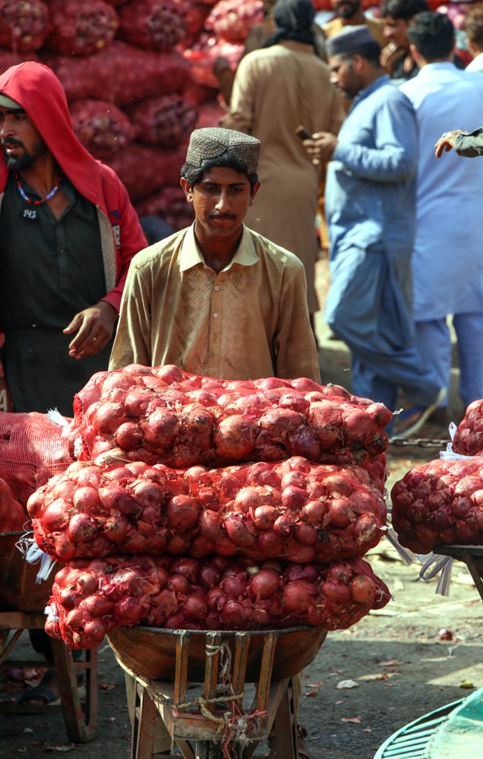 A labourer transporting sacks filled with onions on a wheelbarrow at the vegetable market in the Federal Capital A labourer transporting sacks filled with onions on a wheelbarrow at the vegetable market in the Federal Capital