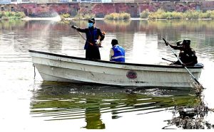Cantonment Board Hyderabad workers busy spraying anti-dengue chemicals on stagnant water while sitting on a boat at the football ground outside Alamgir Road during the malaria and anti-dengue spray campaign