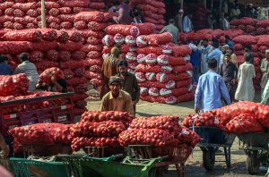 A labourer transporting sacks filled with onions on a wheelbarrow at the vegetable market in the Federal Capital