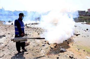Cantonment Board Hyderabad workers busy spraying anti-dengue chemicals on stagnant water while sitting on a boat at the football ground outside Alamgir Road during the malaria and anti-dengue spray campaign