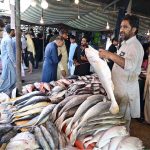 A vendor displaying fish to attract the customers at weekly Bazaar in the Federal Capital