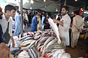 A vendor displaying fish to attract the customers at weekly Bazaar in the Federal Capital