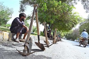 Labourers along with their tools sitting on roadside waiting for clients to be hired for work during morning time at Peshawar Mor.