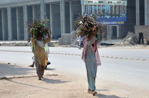 Women carrying bundles of dry tree branches on their heads while walking along a roadside to use as firewood for domestic purposes.