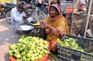 A woman vendor displaying fresh guavas in her basket to attract passersby along Fakir Ka Pir Road.