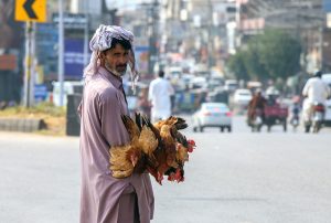 A vendor sells country hens while strolling through the streets of the federal capital.