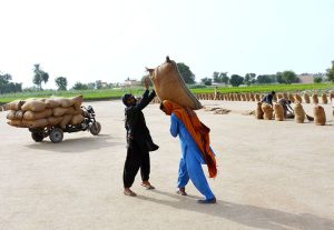 A young labourer sits on large iron sheets being transported on a motorcycle loader near Nag Shah Chowk