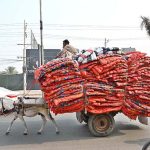 A man loads his donkey cart with quilts while moving along College Road to supply in market as the demand for quilts increases due to the dropping temperature in the city.