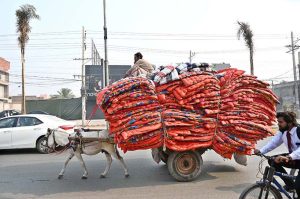 A man loads his donkey cart with quilts while moving along College Road to supply in market as the demand for quilts increases due to the dropping temperature in the city.