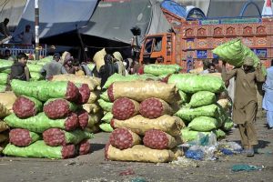 Labourers unloading bags of potatoes and onion from delivery truck at Fruit and Vegetable Market.