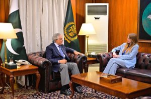 UK High Commissioner Jane Marriott called on Deputy Prime Minister and Foreign Minister Senator Mohammad Ishaq Dar, at MoFA.