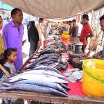 A couple selecting and purchasing fresh fish from vendor at Fakir ka Pir road