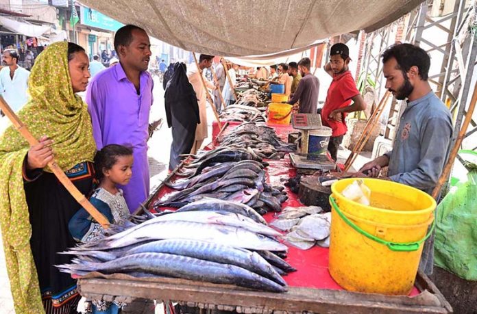 A couple selecting and purchasing fresh fish from vendor at Fakir ka Pir road A couple selecting and purchasing fresh fish from vendor at Fakir ka Pir road
