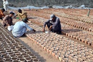 Nursery worker is sowing seeds of seasonal plants and flowers in pots at a nursery in the Federal Capital.