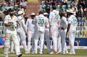 South Africa's players celebrate the dismissal of Pakistani batter Abdullah Shafique during the first day of the second Test match between Pakistan and South Africa at the Rawalpindi Cricket Stadium.