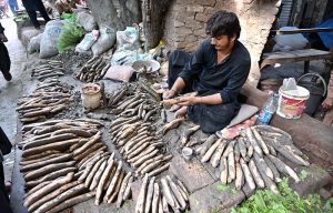 A vendor displaying traditional vegetable ‘beeh’ to attract the customers at Jilis Bazaar.