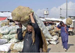 Labourers unloading bags of potatoes and onion from delivery truck at Fruit and Vegetable Market.