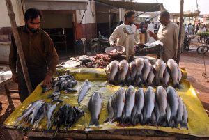 Workers busy loading fish onto a wheelbarrow for delivery to various shops in the local fish market