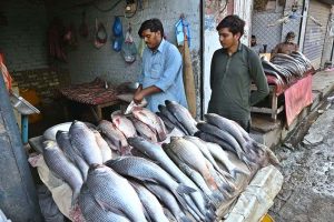 A vendor selling fish at fish market Railway road.