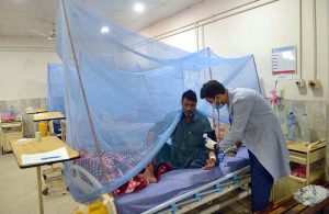 Patients suffering from dengue fever are being treated in an isolation ward at the Lady Reading Hospital.