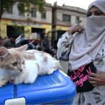 A woman displays a Persian cat for sale at the Saddar Bird Market
