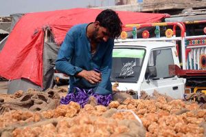 A labourer sews sacks filled with traditional sweet “Gur” before selling them at the Gur Mandi.