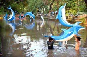 PHA workers installing a dolphin sculpture in the canal as part of beautification and decoration work in the Provincial Capital.