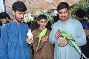 Students are viewing parrots on stall during Zarai Mela at University of Agriculture Faisalabad (UAF)