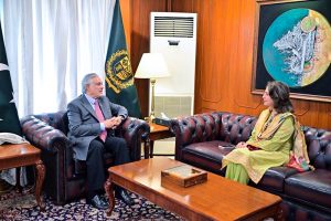 Federal Secretary Information and Broadcasting, Ms. Ambreen Jan paid a farewell call on the Deputy Prime Minister and Foreign Minister Senator Mohammad Ishaq Dar
