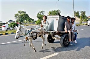 A donkey cart loader transports goods along the city road, steadily making his way toward the delivery point.