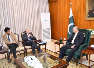 President Asif Ali Zardari in a meeting with Mr Jean Henri Todt, UN Secretary General’s Special Envoy for Road Safety, at Aiwan-e-Sadr