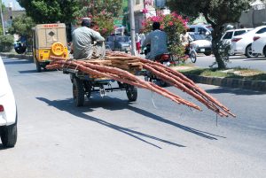 Laborers transporting long bamboos and planks on a donkey cart along the city road.
