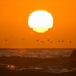 Earth faces 57 more scorching days annually by 2100, even if Paris goals are met: Report