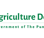 Farmers must start harvesting coarse varieties of rice