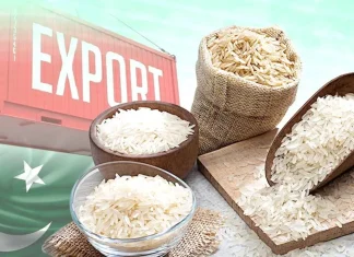 Pakistan’s Rice Exports to China Surge 63% in Q3 2025 CPEC