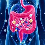 Scientists uncover hydrogen's hidden health role in human gut
