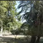 Renovation work on Narwari garden reviewed