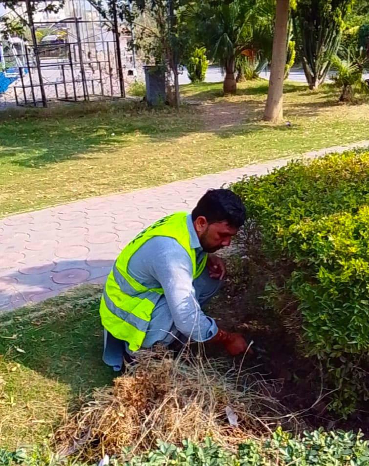 PHA Rawalpindi accelerates citywide beautification drive, DG vows to make city greener, more recreational