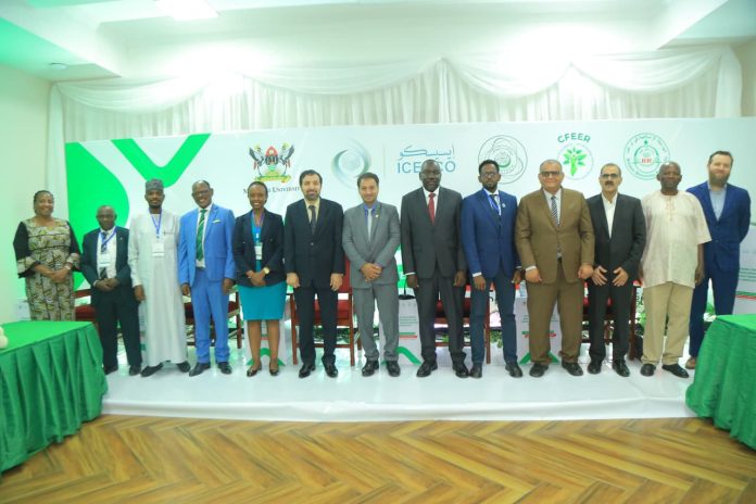 WhatsApp Image 2025-10-29 at 12.38.06