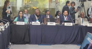 Minister Shezra Mansab calls for global cooperation on green growth, carbon markets at Seoul forum