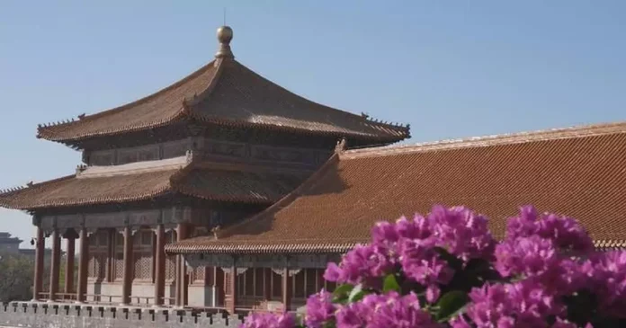 Xi calls for turning Palace Museum into window for Chinese civilization