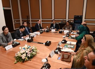 China, Pakistan urged to deepen cooperation for shared modernization, global governance CPEC