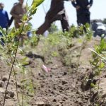Agriculture Department starts cleanliness drive, plan for Rabi crops discussed