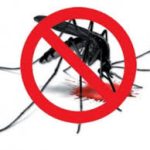 Dengue wiped out in Murree, no new cases reported in the last ten days
