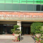 PFSA, PITB successfully thwart cyber-attack