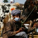 Over 112,000 animals vaccinated as Punjab expands livestock support